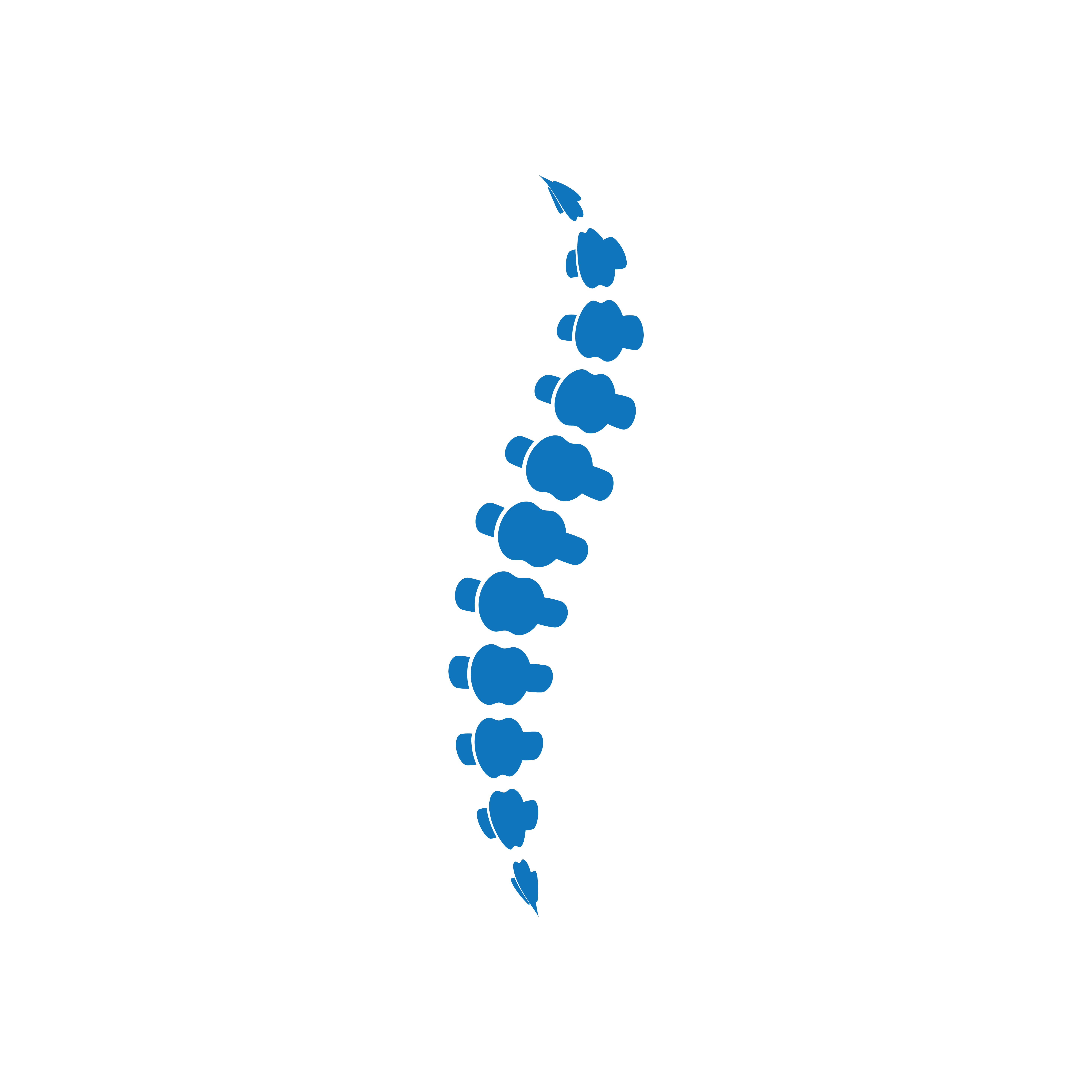 Beckenham Chiropractic Clinic
