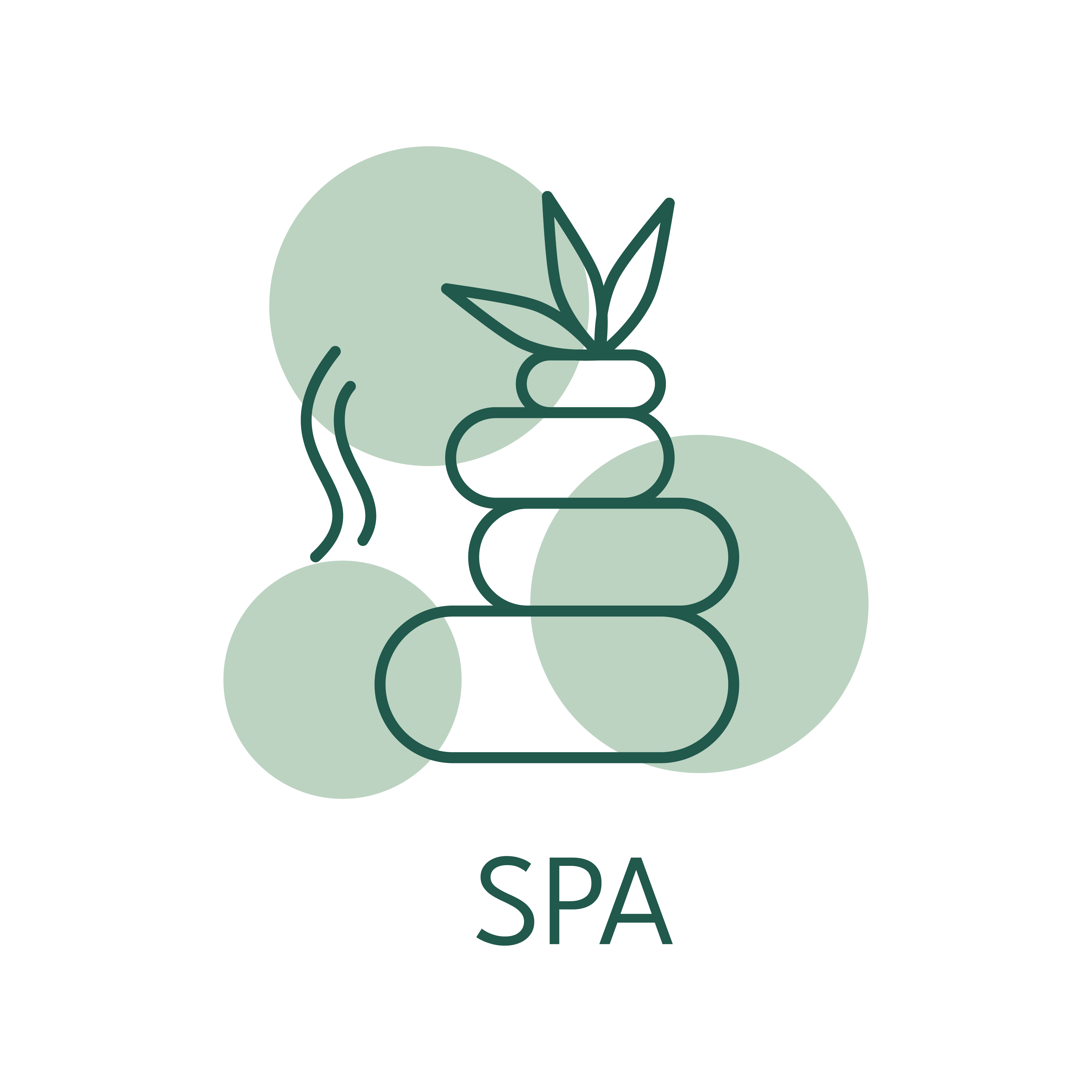 The Spa Culture
