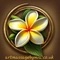 Art Massage by Mia